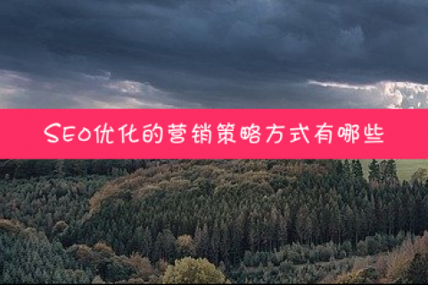 西安网站建设公司_网站建设公司_北京网站建设公司