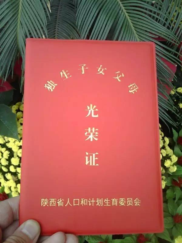 青岛网站设计产品拍摄_青岛网站设计公司哪家好_青岛网站设计